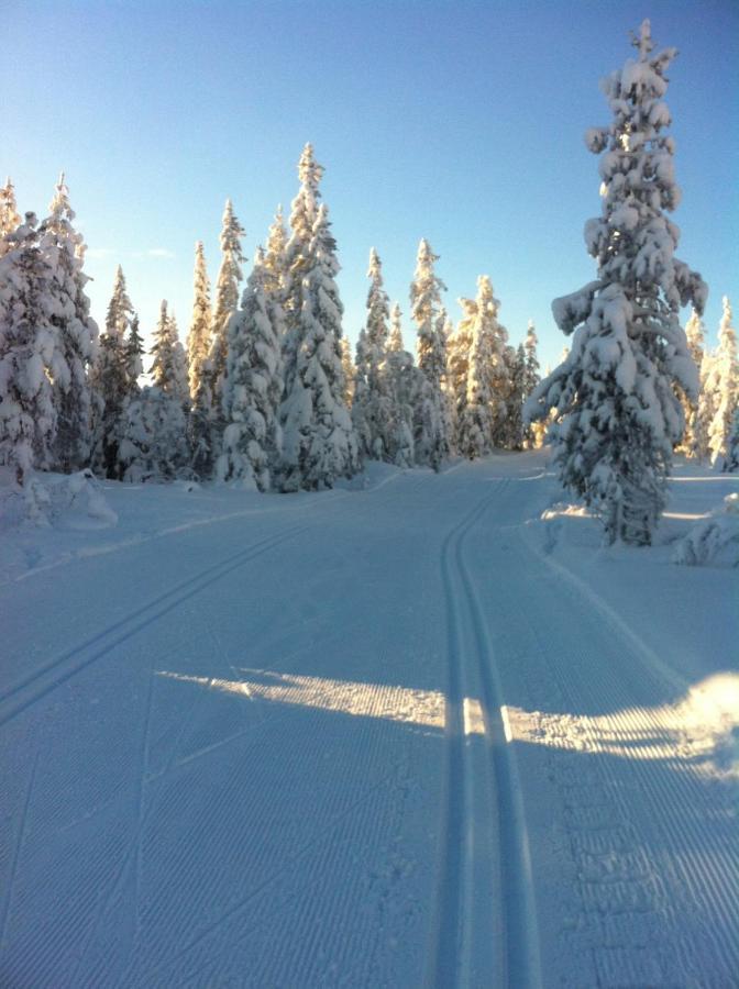 Vila Koselig Hytte Ved Skiheis, Langrennspor, Akebakke Og Har 4 Soverom, 2 Bad, Badstue Og Fiber Bredband Trysil Exteriér fotografie