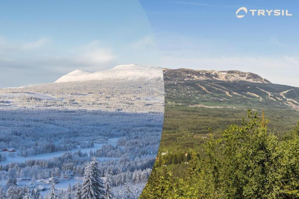 Vila Koselig Hytte Ved Skiheis, Langrennspor, Akebakke Og Har 4 Soverom, 2 Bad, Badstue Og Fiber Bredband Trysil Exteriér fotografie