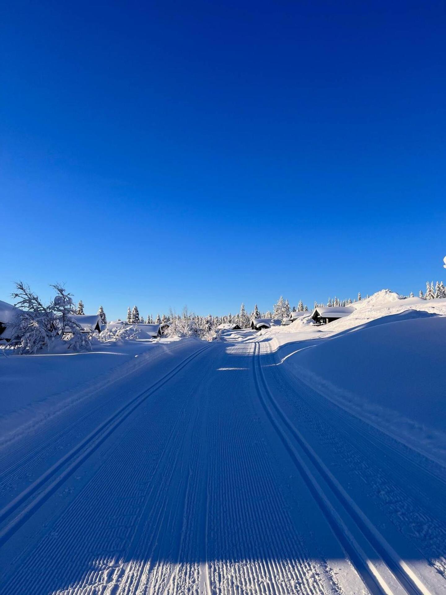 Vila Koselig Hytte Ved Skiheis, Langrennspor, Akebakke Og Har 4 Soverom, 2 Bad, Badstue Og Fiber Bredband Trysil Exteriér fotografie