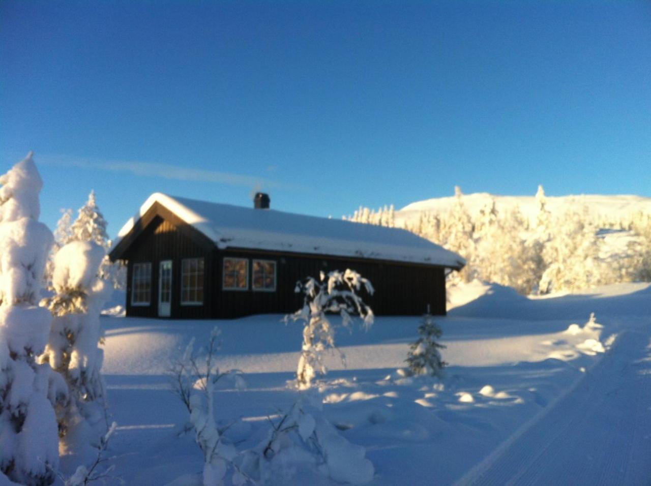 Vila Koselig Hytte Ved Skiheis, Langrennspor, Akebakke Og Har 4 Soverom, 2 Bad, Badstue Og Fiber Bredband Trysil Exteriér fotografie