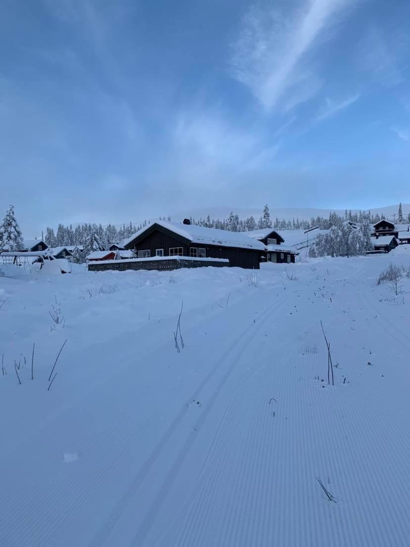 Vila Koselig Hytte Ved Skiheis, Langrennspor, Akebakke Og Har 4 Soverom, 2 Bad, Badstue Og Fiber Bredband Trysil Exteriér fotografie