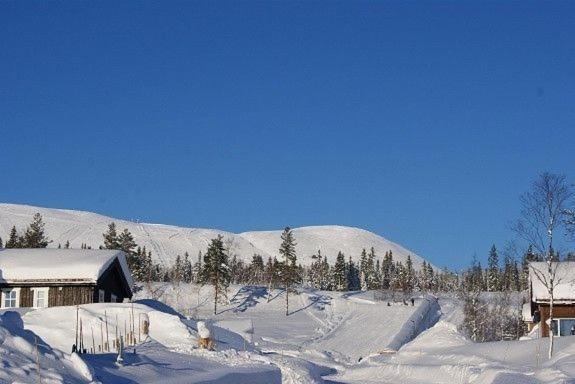 Vila Koselig Hytte Ved Skiheis, Langrennspor, Akebakke Og Har 4 Soverom, 2 Bad, Badstue Og Fiber Bredband Trysil Exteriér fotografie