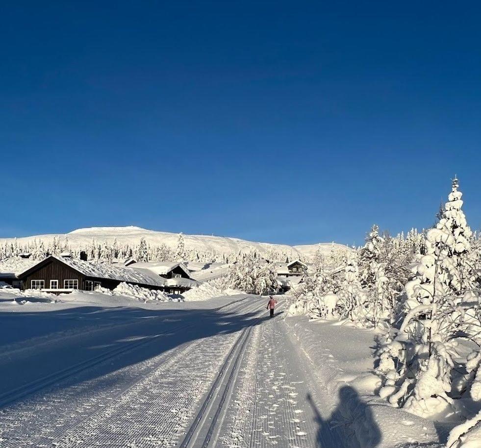 Vila Koselig Hytte Ved Skiheis, Langrennspor, Akebakke Og Har 4 Soverom, 2 Bad, Badstue Og Fiber Bredband Trysil Exteriér fotografie