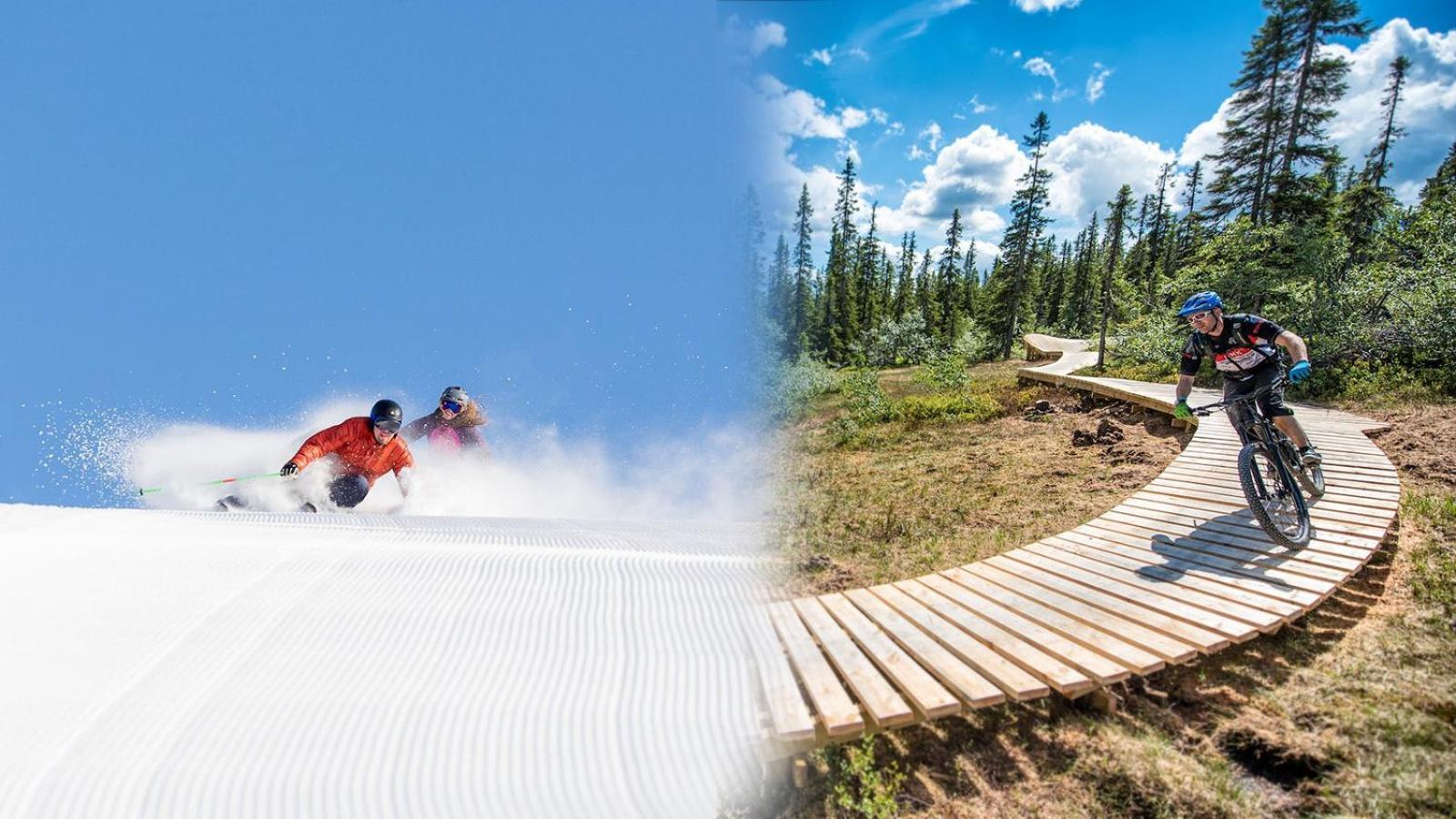 Vila Koselig Hytte Ved Skiheis, Langrennspor, Akebakke Og Har 4 Soverom, 2 Bad, Badstue Og Fiber Bredband Trysil Exteriér fotografie