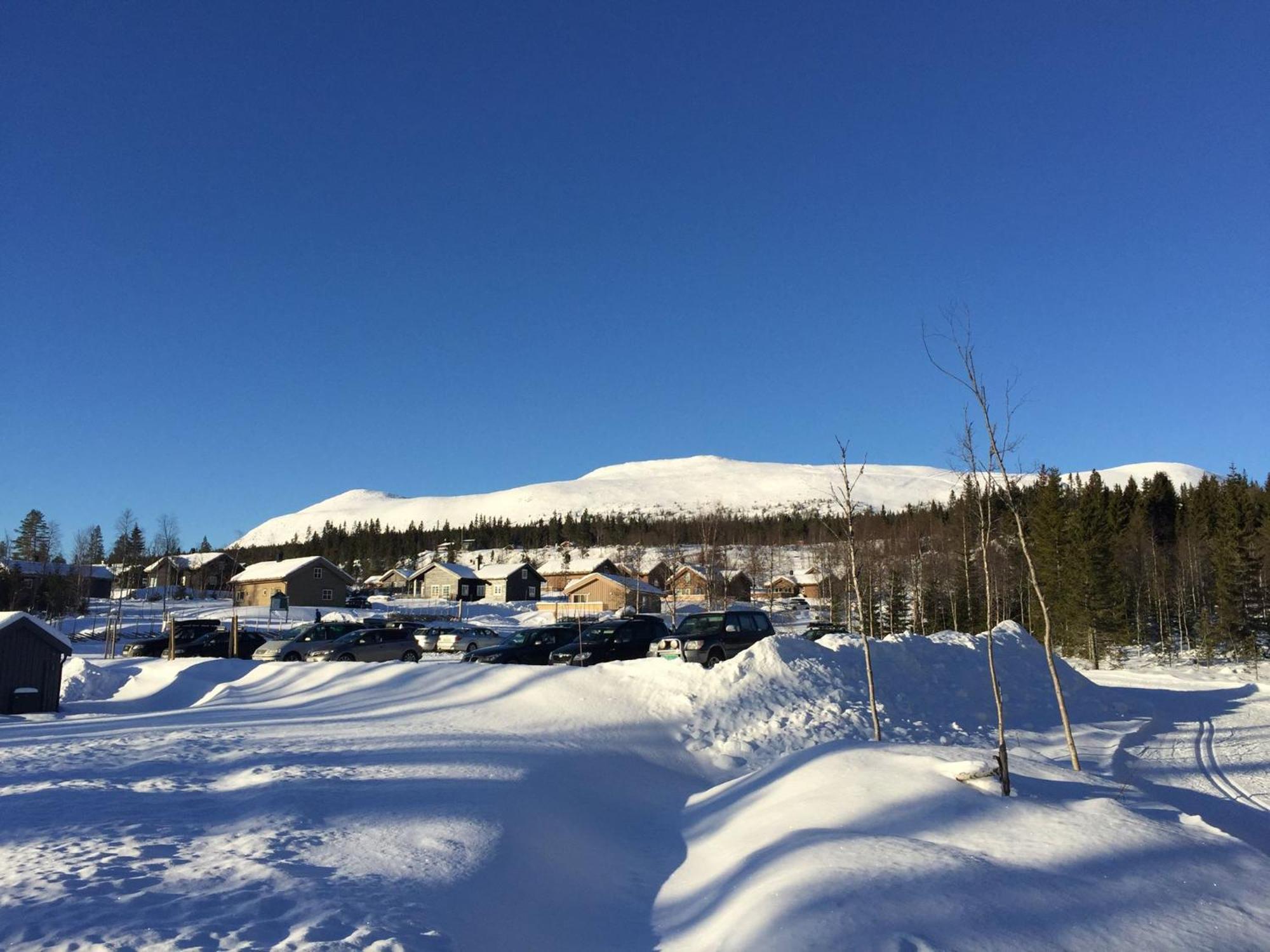 Vila Koselig Hytte Ved Skiheis, Langrennspor, Akebakke Og Har 4 Soverom, 2 Bad, Badstue Og Fiber Bredband Trysil Exteriér fotografie